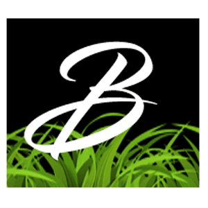 Barbare's Lawn Care