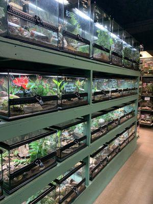 Amphibian aisle