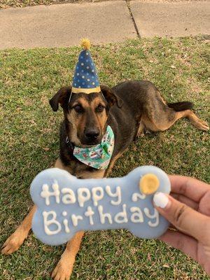 Leo loving his yummy birthday treat