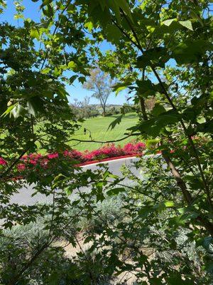 Patio View