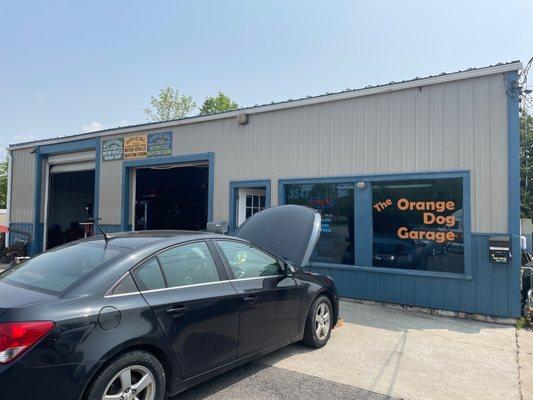 Orange Dog Garage