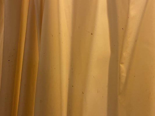 Blood on the shower curtain