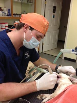 Dr. Gwinn cleaning teeth