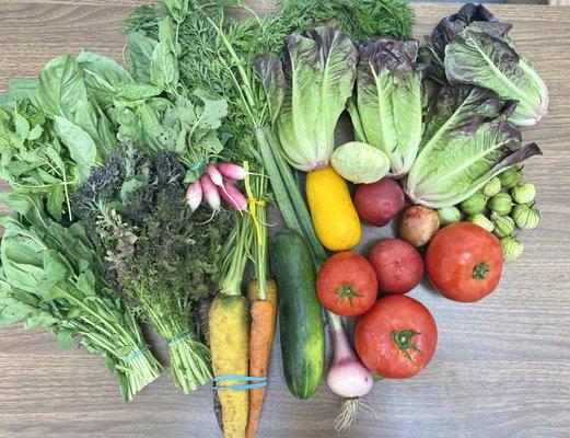 CSA boxes are available every other week at The Pantry!