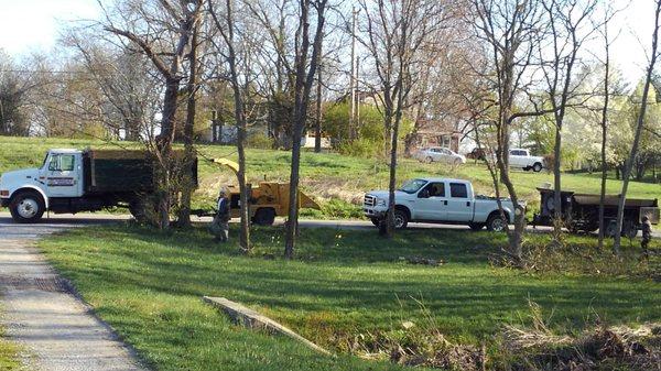 Mario's Tree Care arrives to begin land clearing and tree removal