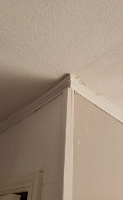 Fixing  water damage  and crown  molding