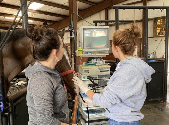 Interstate Equine Hospital