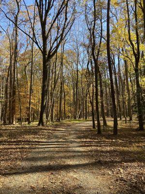 Boyd's Hole Trail