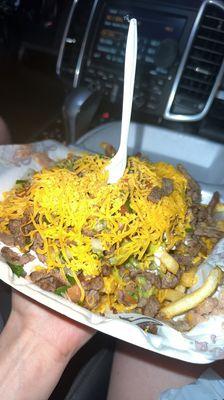 Carne Asada Fries