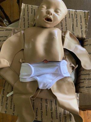 INFANT "manikin"/mannequin.