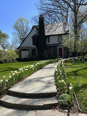 Flagstone walkway and landscape design