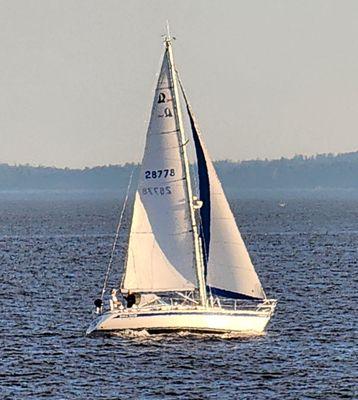 Nice evening for a sailboat ride (7/19/23)