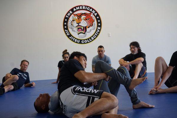 Self Defense workshops and seminars by the worlds best martial arts champion in house.