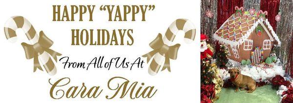 The "Yappiest" of Holidays from everyone at Cara Mia.