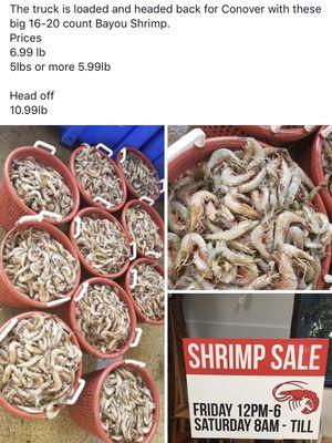 Shrimp sale 8/30