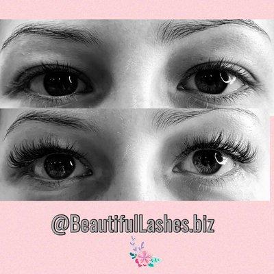 Hybrid Lashes