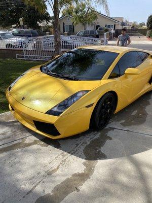 Lambo