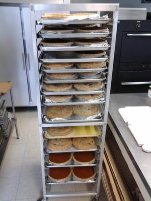 Thanksgiving 2014.  Over 100 pies!