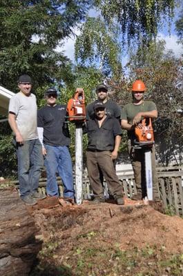 Tree Removal Sebastopol