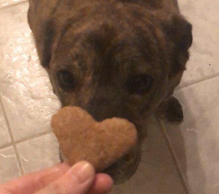 Quinn loves her fresh dog treats made by Perdita's :) 4 pack for 50 cents. Can't beat that!