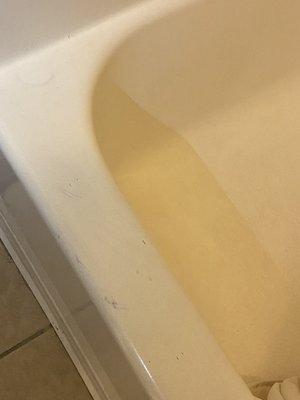 Dirty hairs on tub