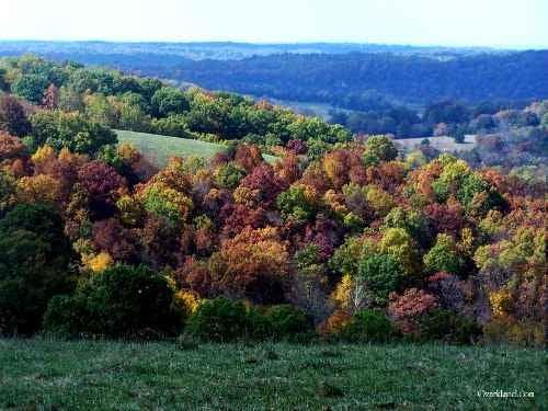 Our beautiful Ozark hills in autumn