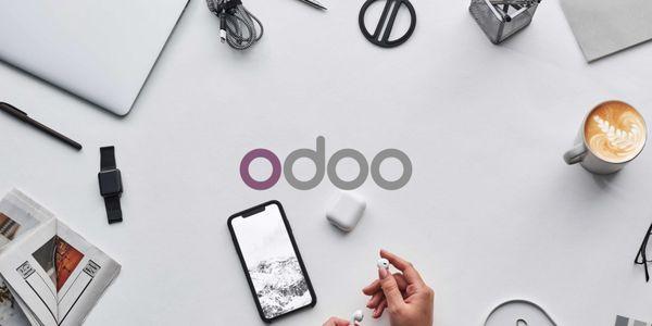 Odoo ERP Software Consultation