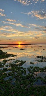 Torry Island Campground