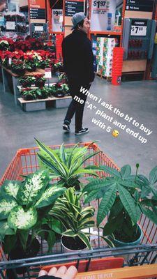 Bet you can't just have 1! Haha, plant shopping spree!