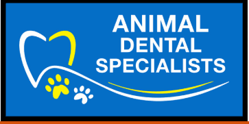 Animal Dental Specialists