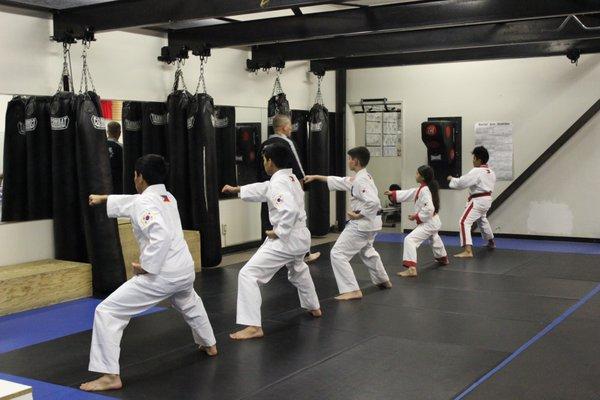 Tang soo do in action