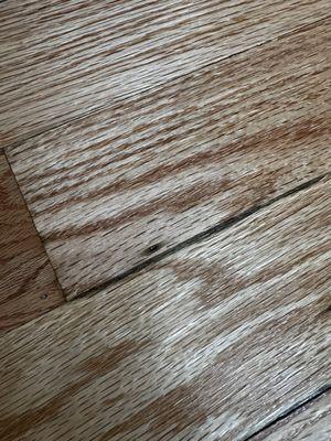 Ace Wood Flooring