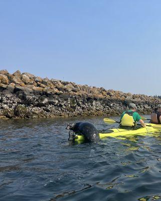 Ballard Kayak