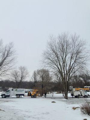 60 foot bucket bucket truck and an 18 inch and chipper truck.We are about to take down this maple