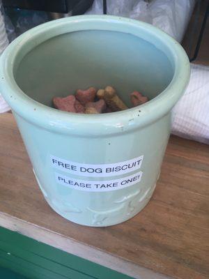 Free dog biscuits!