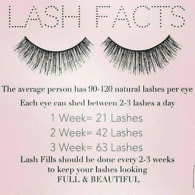 Lash Facts!