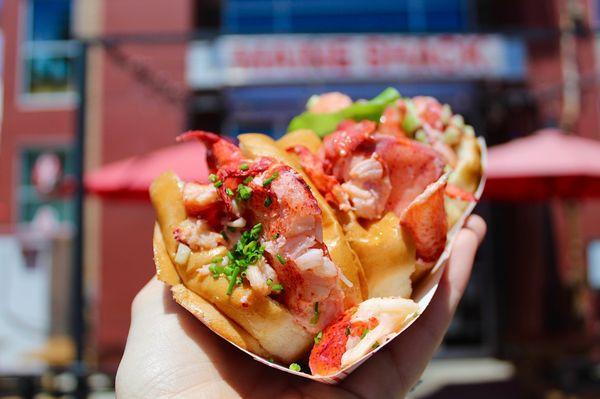 I could tell how fresh Maine Shack's lobster was the second I bit into the Brown Butter roll - the lobster meat was so juicy, sweet & tender