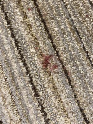 Blood stains on carpet. Need professional cleaning, this has not been spot cleaned. All spots on carpet were left untreated.