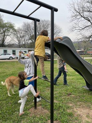 Monkey bars and slide