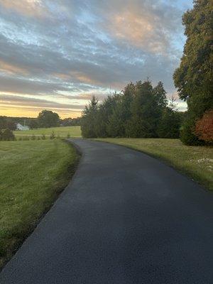 Freshly sealed driveway