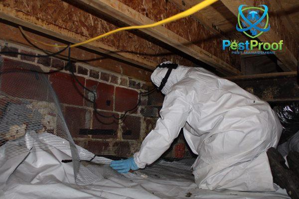 Pest Proof Pest Management