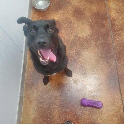 Ellie in her suite with her favorite toy.