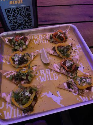 Poke nachos over priced $22