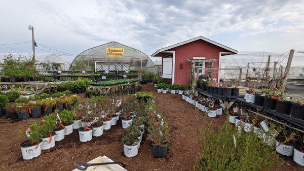 Alexander Farm Market and Greenhouses