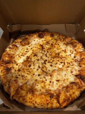 Cheese pizza with double cheese . Kids favorite