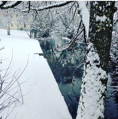 Campus has some gorgeous scenery from the snow storm last month.