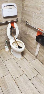 Handicapped toliet. Plunger and poo encrusted porcelain. Yummy - two weeks old.