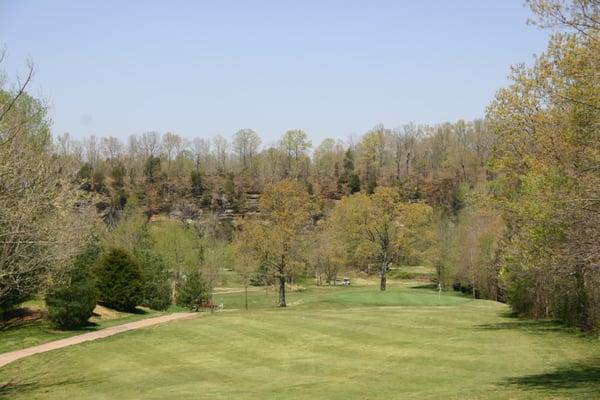 Approach to #7 green