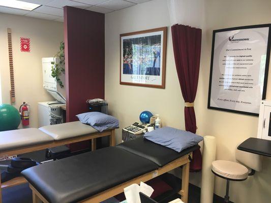 Professional Physical Therapy