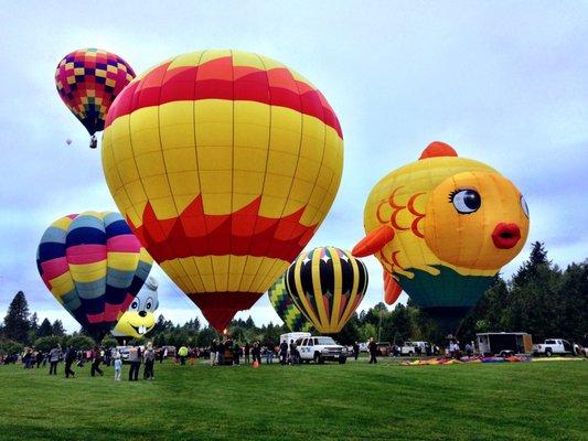 Worth waking up early to see the balloons launch!